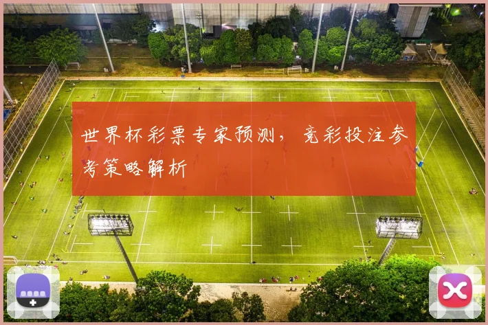 世界杯彩票专家预测,竞彩投注参考策略解析