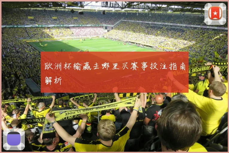 欧洲杯输赢去哪里买赛事投注指南解析