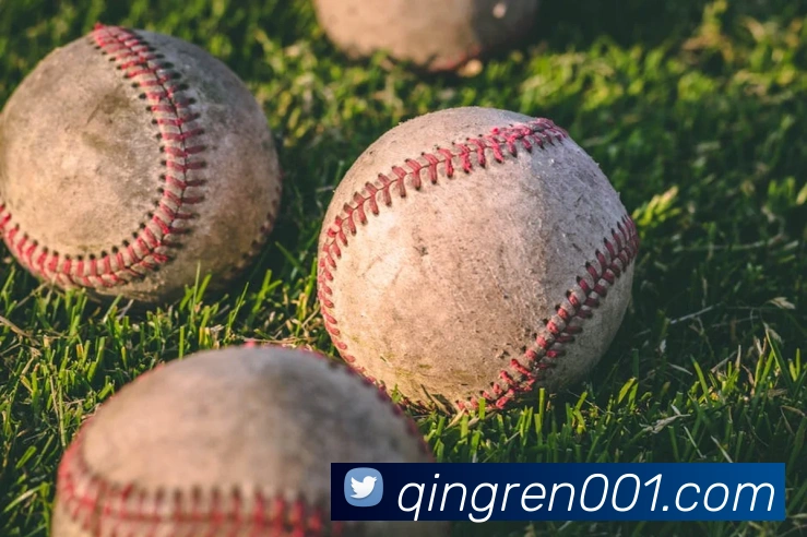 买球官方平台生态图