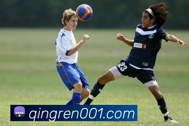 买球官方APP 封面图